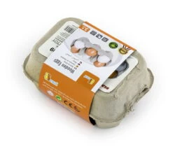 Vigatoys Eieren 6 Stuks In Doosje -Bruderiku Winkel eieren in doosje vigatoys v9228 1 1