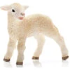 Schleich 13744 Lammetje Lam FarmWorld -Bruderiku Winkel schleich 13744 lammetje