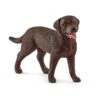 Schleich 13834 Labrador Retriever Teef -Bruderiku Winkel schleich 13834 labrador retriever teefje