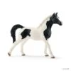 Schleich 13840 Pintabian Hengst Horse Club -Bruderiku Winkel schleich 13840 pintabian hengst