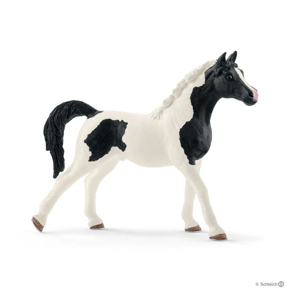 Schleich 13840 Pintabian Hengst Horse Club 3 Schleich 13840 Pintabian Hengst Horse Club