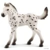 Schleich 13890 Knapstrupper Veulen Horse Club -Bruderiku Winkel schleich 13890 knapstrupper veulen