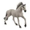 Schleich 13915 Sorraia Mustang Hengst HorseClub -Bruderiku Winkel schleich 13915 sorraia mustang hengst