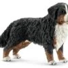 Schleich 16397 Berner Sennenhond 1 Schleich 16397 Berner Sennenhond -Bruderiku Winkel schleich 42363 hond berner sennen