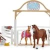 Schleich 42458 Hannah’s Gastpaarden Met Hond Ruby HorseClub -Bruderiku Winkel schleich 42458 hannahs gastpaarden met hond ruby